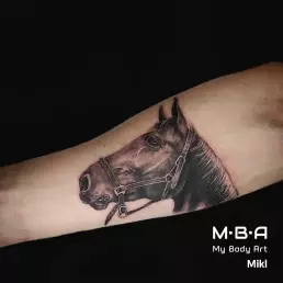 tatouage cheval réalisé par Mikl à MBA - My Body Art Grenoble