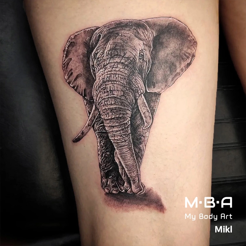 tatouage éléphant réalisé par Mikl à MBA - My Body Art Grenoble