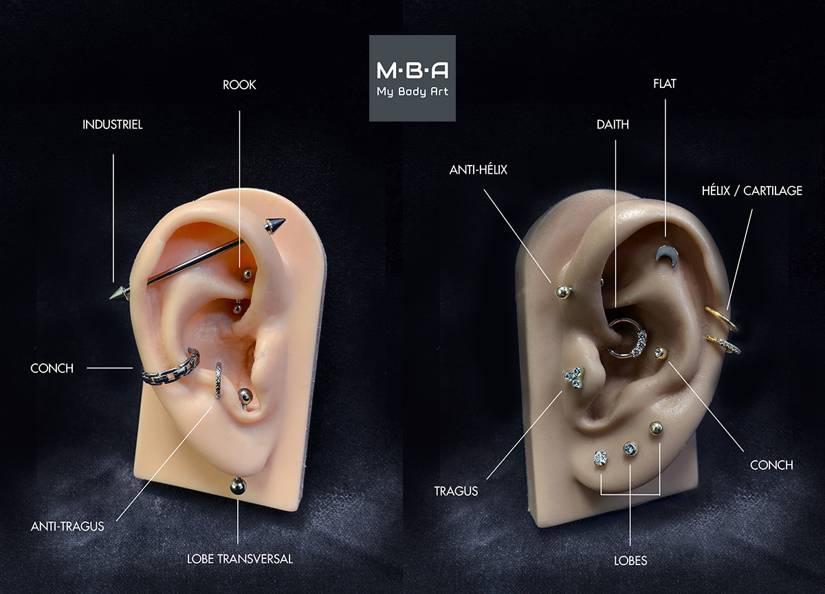 Les noms et zones des piercings d'oreille à MBA - My Body Art